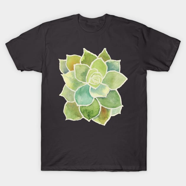 ECHEVERIA SUCCULENT - Watercolor Painting in Greens, Blues, and Rust - Hens & Chicks Plants T-Shirt by VegShop
